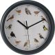 12. ORNITHOLOGIST WALL CLOCK 25CM