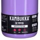 7. Kambukka Olympus Thermal Mug 500ml, Violet