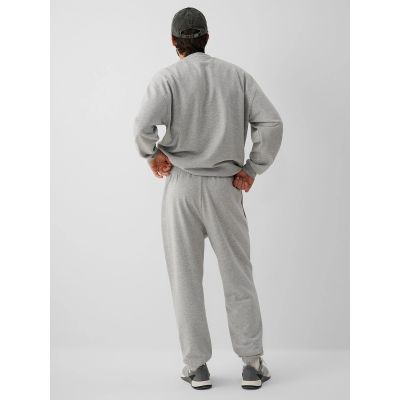 2. Men's jogger sweatpants 4F 4FRAW26TTROM2176-27M
