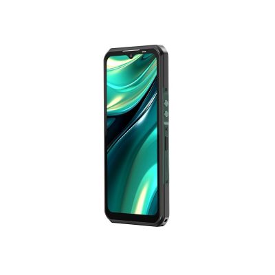 4. Oukitel WP39 6/256 11000mAh DS smartphone. Green