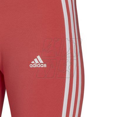 4. adidas Tight 3-Stripes Bike Shorts W HF1862