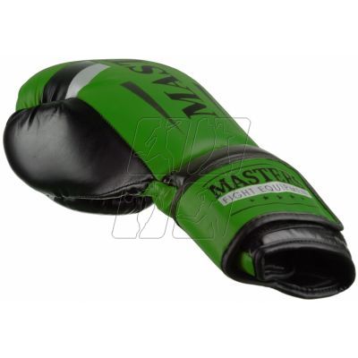 15. Boxing gloves MASTERS RPU-FT 011123-0210