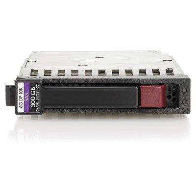2. Hewlett Packard Enterprise 507127-B21 2.5" 300 GB hard drive