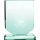6. 3D engraved glass trophy with case