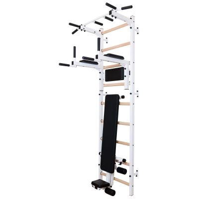 19. GYMNASTIC LADDER WITH A HAND BAR AND A BENCH FOR EXERCISES BENCHK 723W