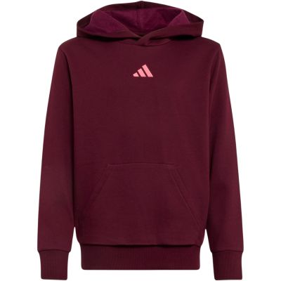 adidas Essentials Hoodie for kids, burgundy KT3380