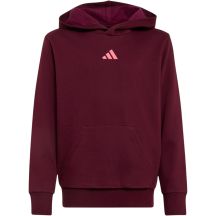adidas Essentials Hoodie for kids, burgundy KT3380