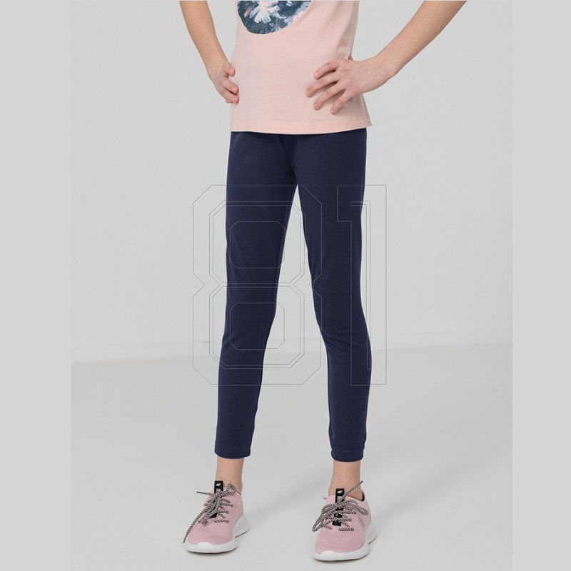 3. Leggings 4F Jr HJL22-JLEG001 31S