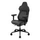 ThunderX3 CORE Smart Ergonomics Gaming Stuhl - Modern Black