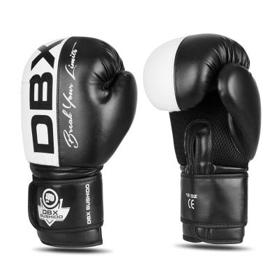 4. 10oz Boxing Gloves - Harmony - Valor Series