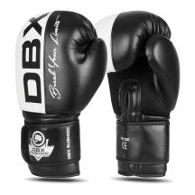 10oz Boxing Gloves - Harmony - Valor Series