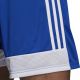 5. Shorts adidas Tastigo 19 Shorts Jr DP3682