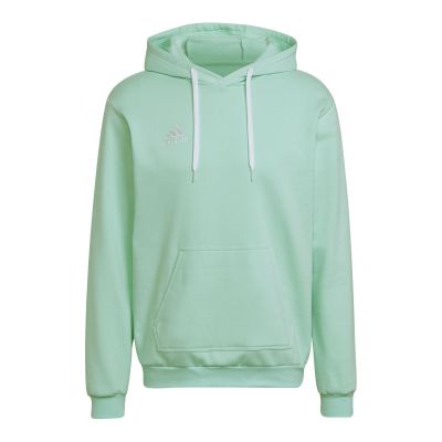 Adidas Entrada 22 M HC5081 sweatshirt