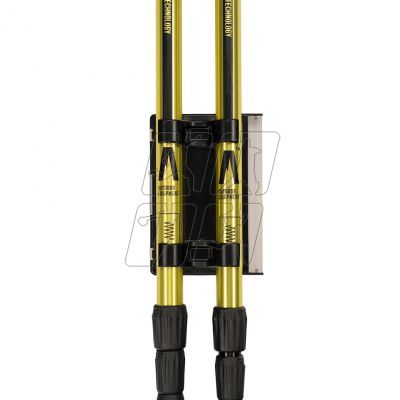 14. Alpinus Latemar NX43604 Nordic walking poles