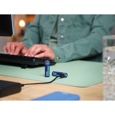 6. AA Trust USB-C RECHARGEABLE BATTERIES 2P