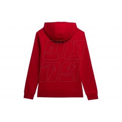 3. Sweatshirt 4F M 4FSS23TSWSM353 red