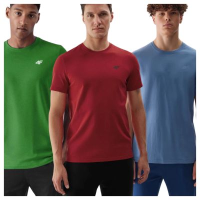 2. T-shirts 4F M 4FWSS25TTSHM3956-96S