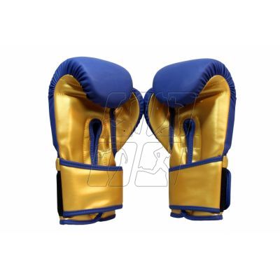 2. Masters Boxing Gloves RPU-COLOR/GOLD 10 oz 01439-0210