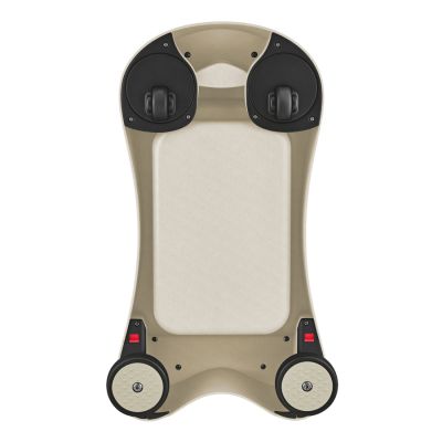 9. 2-in-1 walker/rider WALK N' ROLL ECOLOGIC (830-566)