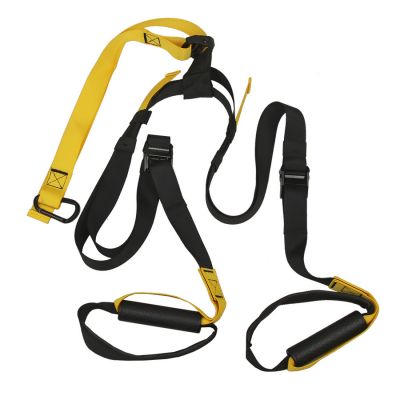 2. Training bands S825810