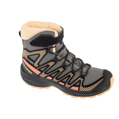 Salomon XA Pro 3D V8 Winter CSWP J L47780000 Gray 31