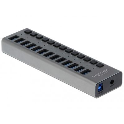 DeLOCK External USB Hub 5 Gbps – 13 Ports + Switch