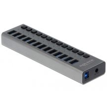 DeLOCK External USB Hub 5 Gbps – 13 Ports + Switch