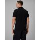 2. Men's regular polo shirt 4F 4FRMM00TPTSM0939-20S