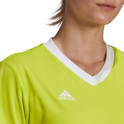 15. Adidas Entrada 22 Jsy W HC5080 T-shirt
