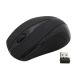Esperanza Antares EM101K mouse (optical; 800 DPI; black)