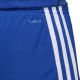 4. Shorts adidas Tastigo 19 Shorts Jr DP3682