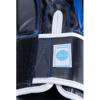 10. RTT-WAKO Boxing Gloves 10 oz (WAKO APPROVED)