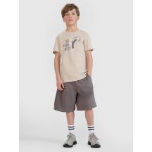 Boys' sweatpants 4F 4FJRSS25TSHOM684-23S