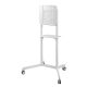 17. Neomounts by Newstar NM-M1250 177.8 cm (70") White
