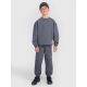 2. Boys' jogger sweatpants 4F 4FJRAW25TTROM1605-22S