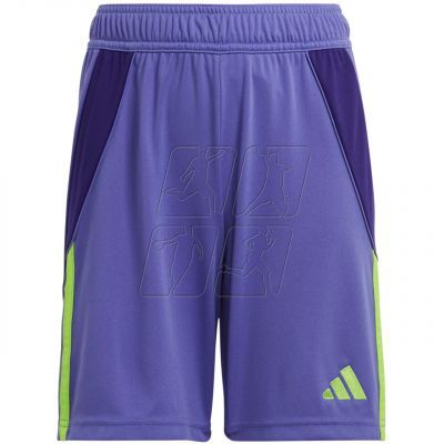 Adidas Tiro 24 Jr IT2419 shorts