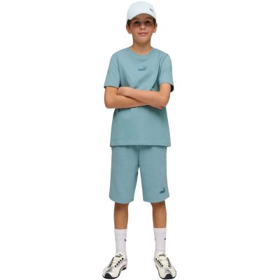 5. Puma ESS Small No. 1 Logo Kids Shorts Blue 692974 47