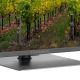 5. LCD TV 50" QLED 4K/50QG5C14 THOMSON