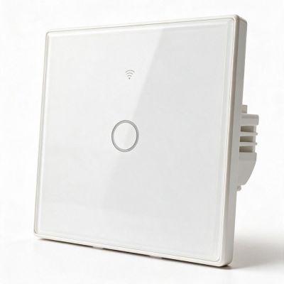 12. QOLTEC LIGHT ON/OFF SWITCH | TOUCH 1-CHANNEL | WI-FI | TIMER | TUYA | WHITE
