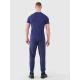 5. Men's quick-drying training pants 4F 4FWSS25TFTRM0835-30M