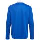 2. Adidas Tiro 21 Training Top Youth Jr GM7322 sweatshirt