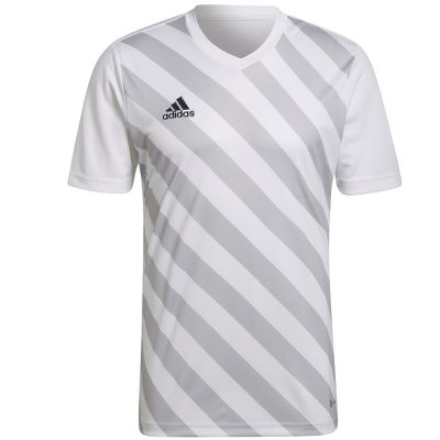 2. adidas Entrada 22 Graphic Jersey M HF0129