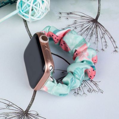 2. Fabric band for Apple Watch 42 / 44 / 45 mm strap bracelet rubber band - watermelon