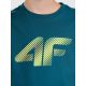 3. Boy's cotton T-shirt 4F 4FJWAW26TTSHM3508-40S