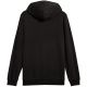 2. Puma Ess 2 Color Small No.1 Logo Hoodie TR M 684719 51