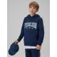 Boy's regular hooded sweatshirt 4F 4FJRSS26TSWSM2637-31S