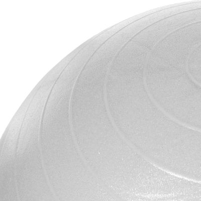 211. PROfit 55cm Gymnastics Ball with Pump DK2102