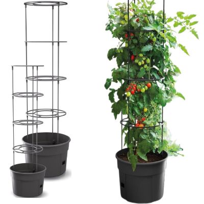 28. TOMATO PLANTING POT WITH LADDER CAPACITY 12L