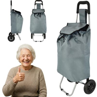 2. TROLLEY SHOPPING BAG ON WHEELS WITH FRAME 33L GRAY
