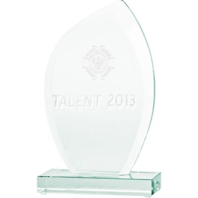 3. 3D engraved glass trophy with case